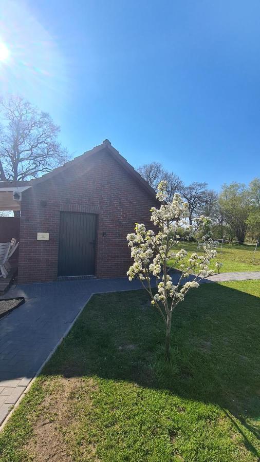 Tiny House Suedliches Friesland-fri Erleben *